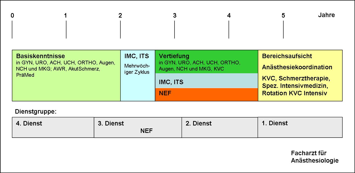 Assistentenrotation